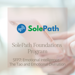 SolePath Foundations Program SFP7